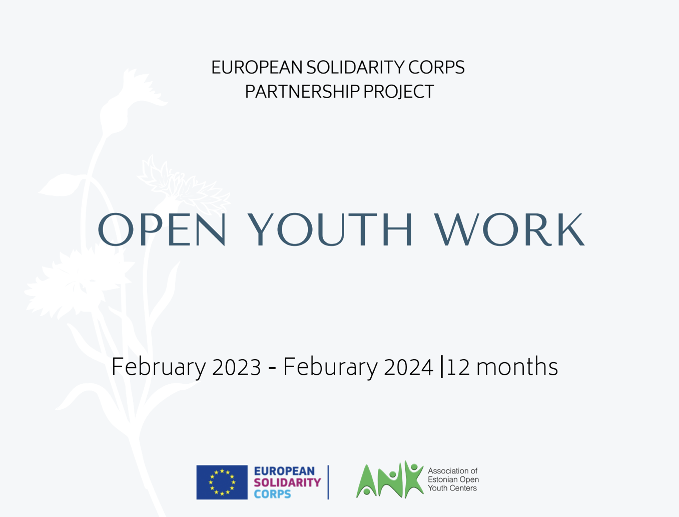 Building Brighter Futures: Volunteer in Youth Work in Estonia